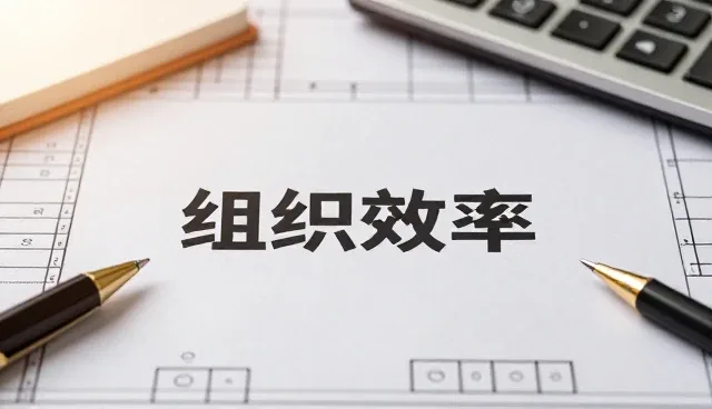 提升组织效率的管理优化策略与实践建议